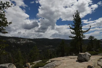 DSC_4375 (Large).JPG